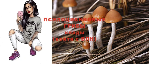 МДПВ Алзамай