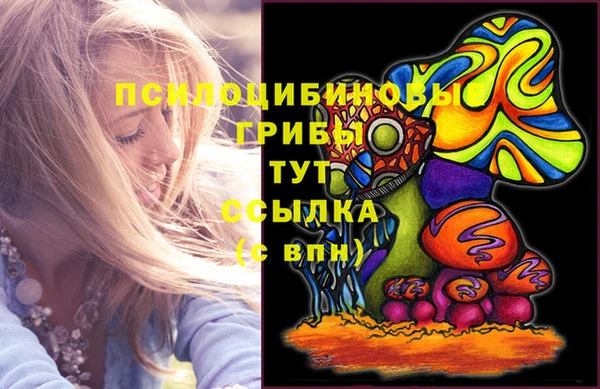 МДПВ Алзамай